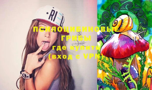 не бодяженный Гусь-Хрустальный