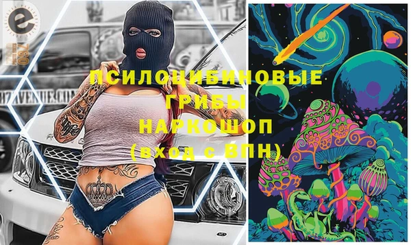 не бодяженный Гусь-Хрустальный