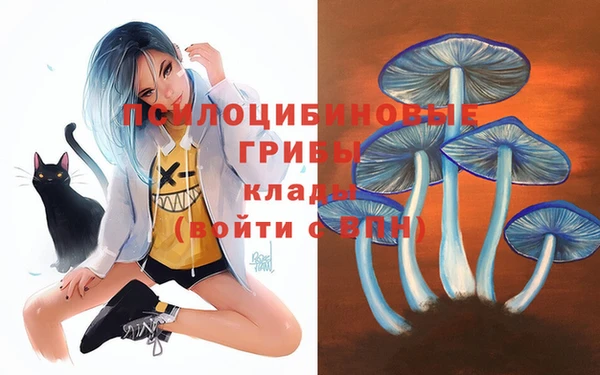 синтетический гашиш Дмитриев