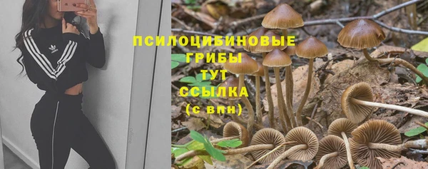соль курить ск Гусев