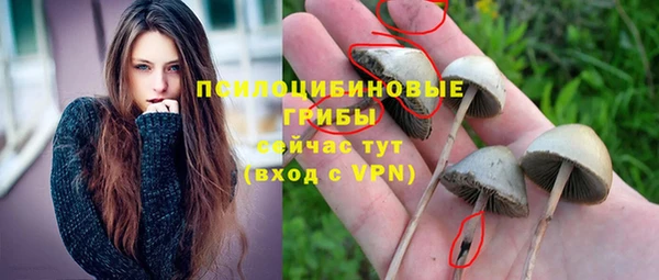 mdma Дмитровск